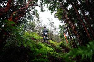 BIB: 
                            <button type="button" onclick="openModal(26201362)" class="btn btn-primary btn-sm float-right btn-popup" data-toggle="modal" data-target=".modal-high-quality">
                        <i class="fas fa-shopping-cart"></i> Add to Cart
                    </button>
                                            <button type="button" onclick="isThisMe(26201362, true)" class="btn btn-success btn-sm float-right btn-popup btn-isme hidden" data-toggle="tooltip" data-placement="bottom" title="นี่คือรูปของคุณใช่ไหม คลิกที่นี่เพื่อเอาเข้าอัลบั้ม">
                        <i class="fas fa-plus"></i> Add to album
                    </button>
                    <button type="button" onclick="isThisMe(26201362, false)" class="btn btn-warning btn-sm float-right btn-popup btn-isnotme hidden">
                        <i class="fas fa-ban"></i> Remove from album
                    </button>